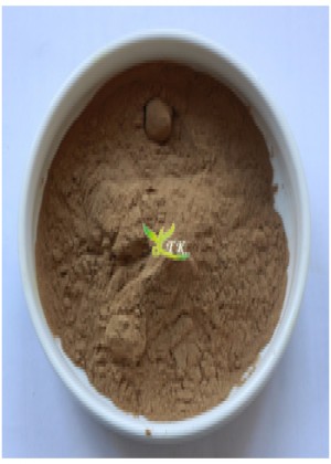 Raw Kava Root Powder