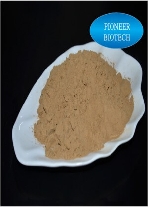 medicinal grade of earthworm extract powder