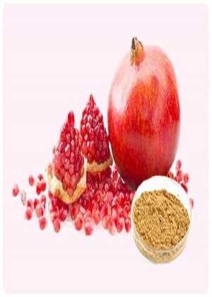 Pomegranate Extract