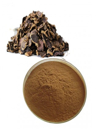 ginger or black ginger extract powder