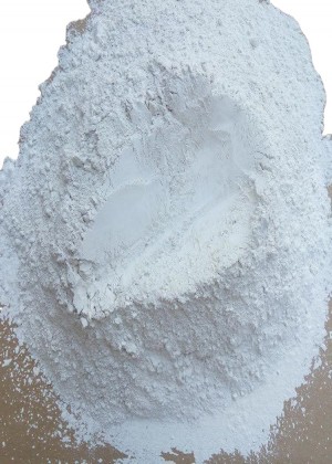 4,6-Dichloro-1H-pyrazolopyrimidine