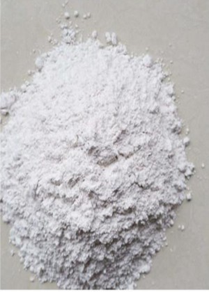 pepsin enzyme powder